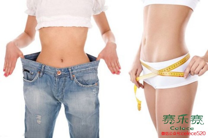 反彈,節食減肥,肥胖