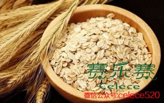 燕麥減肥,秋季減肥,燕麥