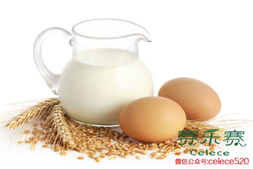 蛋白質,減肥,減肥食譜