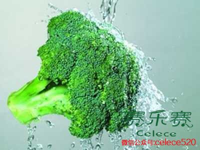 秋季減肥,減肥吃什么,減肥食物