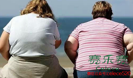 肥胖,如何減肥,減肥方法