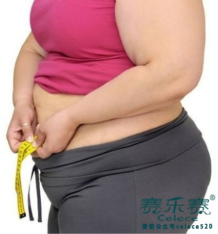 男性肥胖,發福,預防肥胖