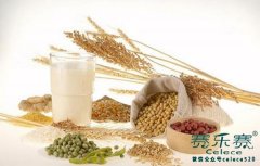 每天吃250克~400克的谷物 健康又減肥