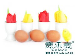 蛋白質應該怎么吃才能瘦身