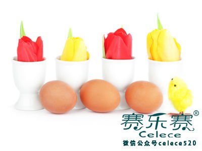 蛋白質(zhì),減肥,減肥方法